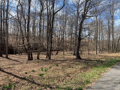 Park like setting by the creek
