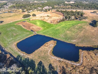 336 Georgetown Shortcut Rd, Georgetown, FL 32139 - photo 2