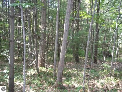 00 N Baldwin Resort Rd unit 1, East Tawas, MI 48730 - photo 5