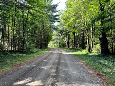 1.1 Farr Rd unit 1, Ohio, NY 13324 - photo 3