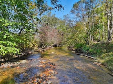 444 Weaver Rd, Ellijay, GA 30536 - photo 3