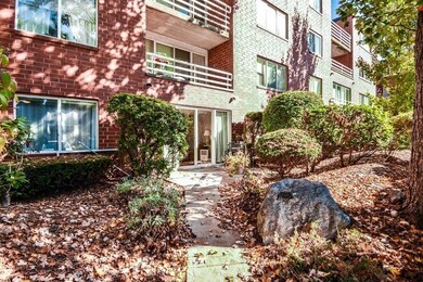 164 Place Ln, Woburn, MA 01801 - photo 4