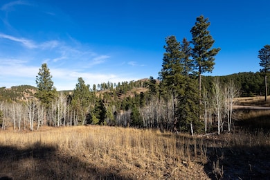 Lot 44 Golden Hills, Sturgis, SD 57785 - photo 3