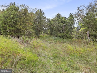 0 Andrews Rd unit VAWR2012444, Strasburg, VA 22657 - photo 2