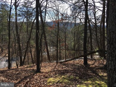 0 Nicklaus unit VASH116988, Basye, VA 22810 - photo 2