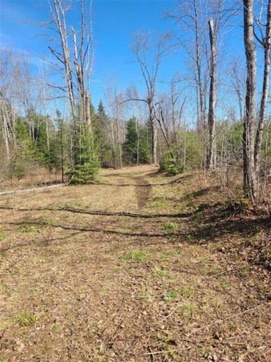 Lot 4 Old Rd E, Whitefield, NH 03598 - photo 3