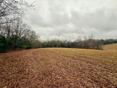 8.04 ac Norman Rd, Corinth, MS 38834 - photo 6