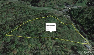 0000 Bald Mountain Rd, Burnsville, NC 28714 - photo 5