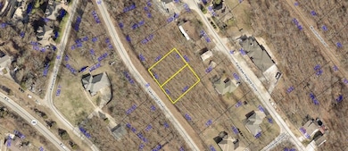 230 Lakecrest Dr, Ridgedale, MO 65739 - photo 3