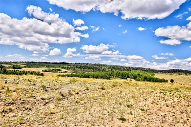 59 Pelican Place, Como, CO 80432 - photo 5