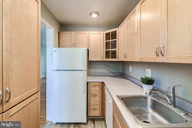 109 E Glebe Rd unit C, Alexandria, VA 22305 - photo 2