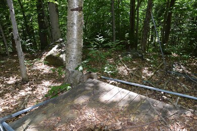 203 Minor Rd, Wilmington, VT 05363 - photo 7