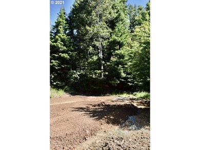 94324 Coldiron Hill Rd, Gold Beach, OR 97444 - photo 6