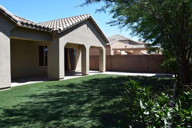 Back Yard (3)