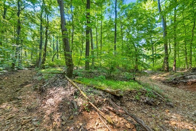 1 Ferry Rd, Clarksville, TN 37040 - photo 7