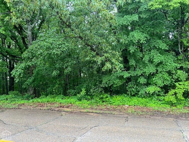 0 W Nettleton Ave, Jonesboro, AR 72401 - photo 6