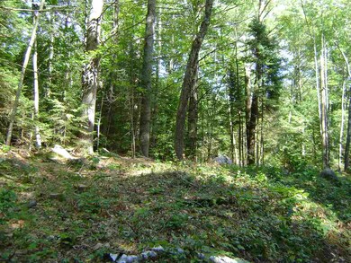 00 Berndorf unit 25.1, Moultonborough, NH 03254 - photo 5