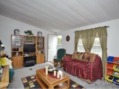 46 Noland Hills Dr, Leicester, NC 28748 - photo 6