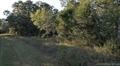 0 Tim Rd unit 3581161, Edwards, MO 65326 - photo 3