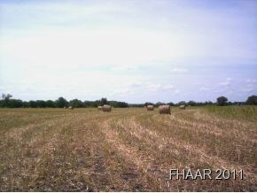 45.478 Acres Fm 580, Copperas Cove, TX 76522 - photo 3