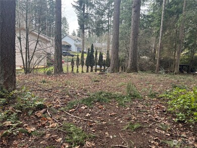 18145 Stony Ct SE, Yelm, WA 98597 - photo 3