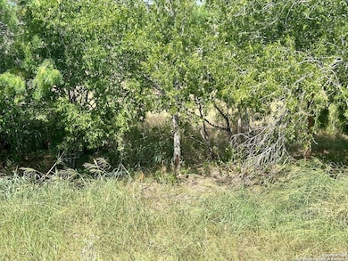 8774 N US Hwy 281, Leming, TX 78050 - photo 3