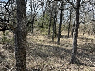 TBD N. FM1417 Farm To Market Road 1417, Denison, TX 75020 - photo 6