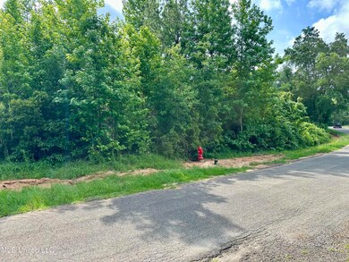 0 Harris Rd, McComb, MS 39648 - photo 4