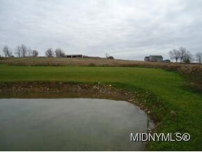 Pond