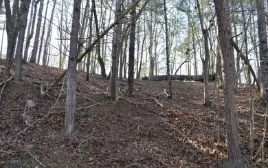 Additional View