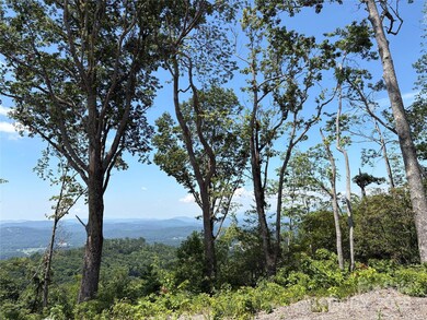 Lot 50 Mountain Grove Ln unit 50, Fletcher, NC 28732 - photo 2