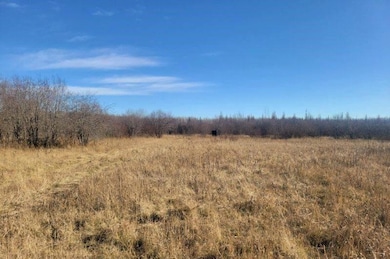 XXX 29th Ave SW, Baudette, MN 56623 - photo 7