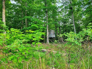 0 County Road 456, Beaver Dam Township, MO 63901 - photo 6