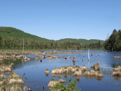 0 Deep Gibou Rd, Montgomery, VT 05471 - photo 5