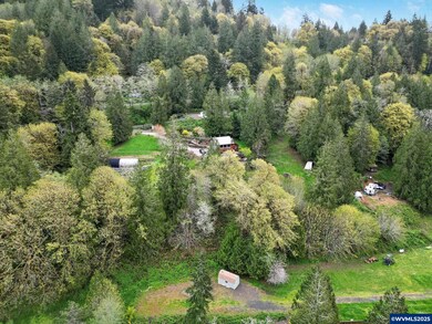 0 Lot Pioneer St unit 835915, Tidewater, OR 97330 - photo 5