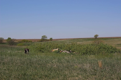 0 N 20th Rd, Sylvan Grove, KS 67481 - photo 5