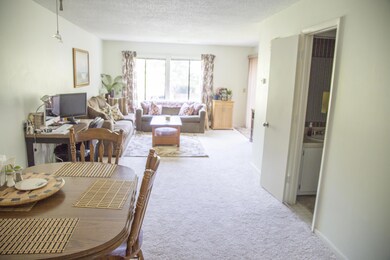 Main Living and Dining Area