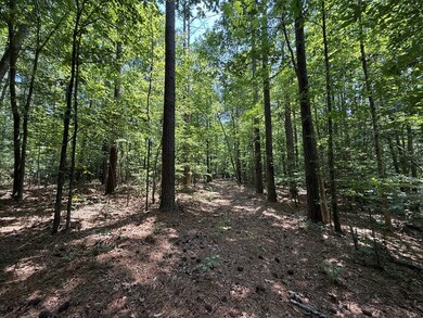 37-39 Field Trial Rd, Lancaster, VA 22503 - photo 6