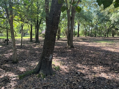 603 Quaker Dr, Friendswood, TX 77546 - photo 5