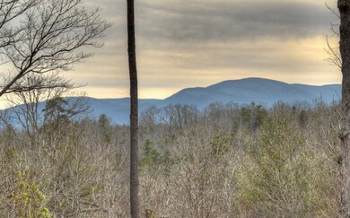 Additional View