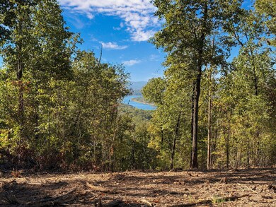 Tract 1 Everest Rd, Ruth A Township, MO 65656 - photo 5