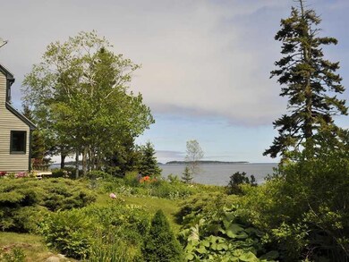 Yard/Garden.