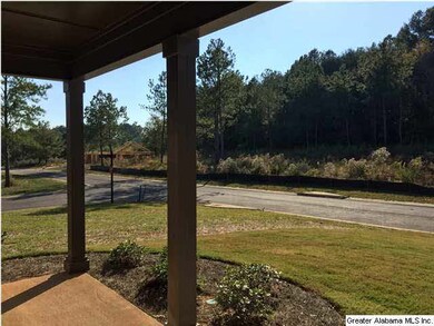 view from the super large front porch