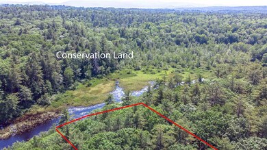 00 Heath Trail, Wolfeboro, NH 03894 - photo 5