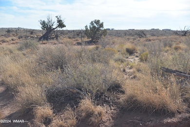 8224 Charolais Trail, Snowflake, AZ 85937 - photo 2