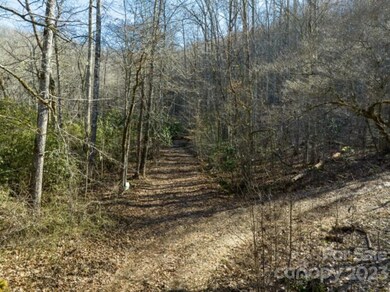 0 Bee Branch Dr unit CAR4027281, Cowee, NC 28734 - photo 5