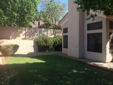 Back Yard View 3