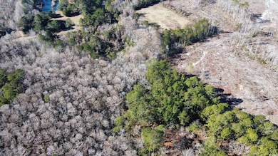 3143 S Island Rd, Georgetown, SC 29440 - photo 5