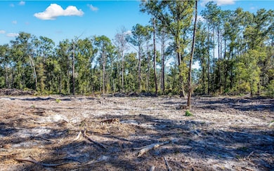 TBD N County Road 349, O'Brien, FL 32071 - photo 3