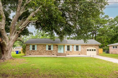 Large Live Oak in Front